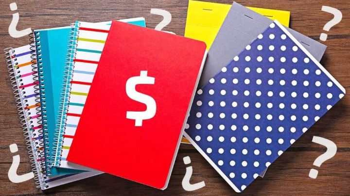 La Profeco evalúa los mejores cuadernos para el ciclo escolar 2024-2025