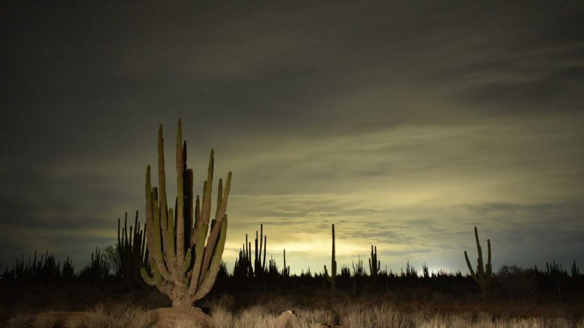 Clima en Hermosillo HOY 25 de julio 2024: Advierten chubascos y temperaturas de hasta 45°C