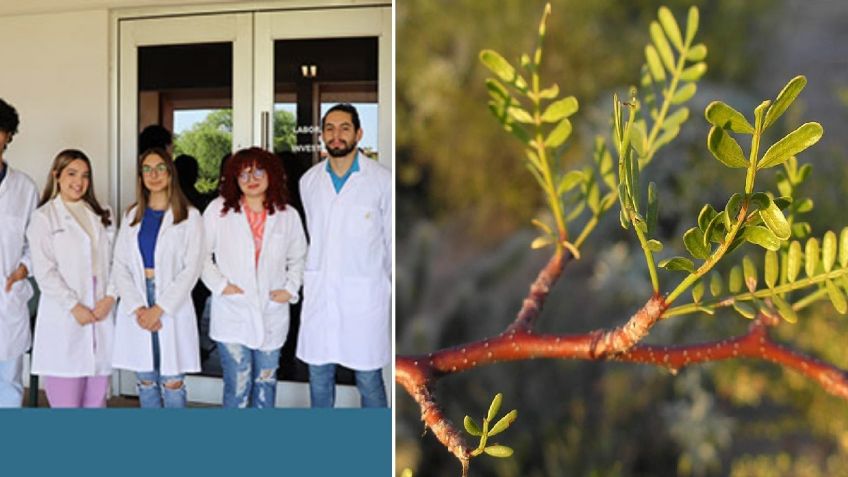 Estudiantes universitarios buscan tratamientos contra el cáncer en Unison Navojoa