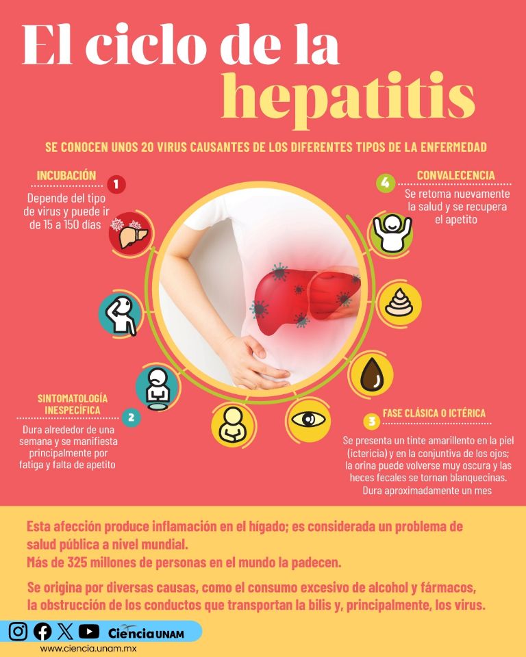 Día Mundial contra la Hepatitis