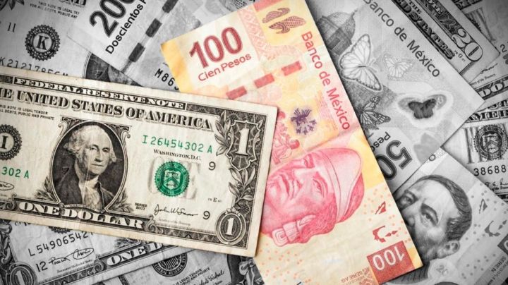 Precio del dólar HOY lunes 29 de julio 2024: Peso mexicano inicia la semana con pérdidas
