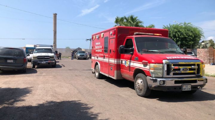 Enjambre de abejas 'ataca' en Empalme, resultaron cinco lesionados