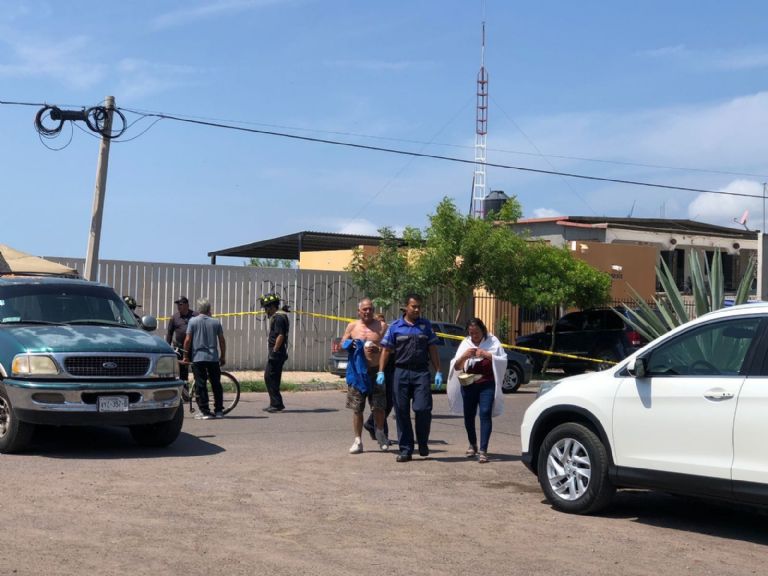 Enjambre de abejas ataca en Empalme