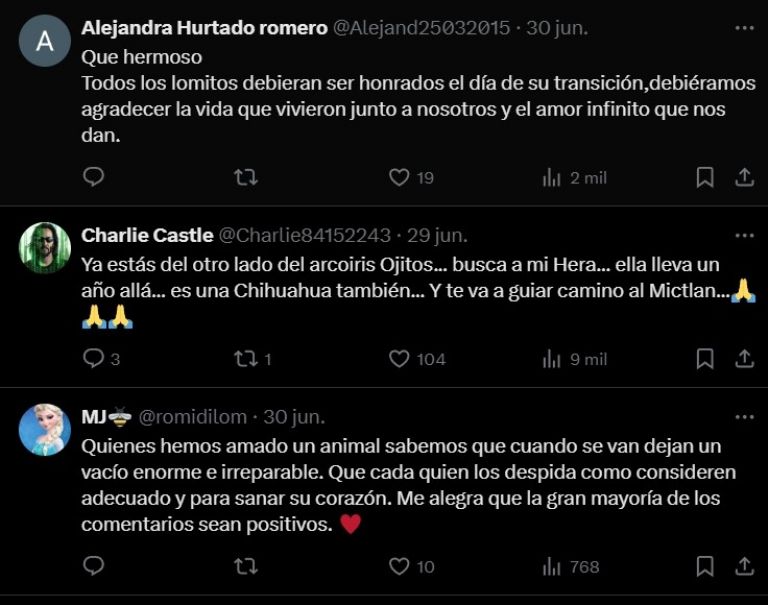 Los comentarios demostraron empatía hacia la pérdida de 'Ojitos'