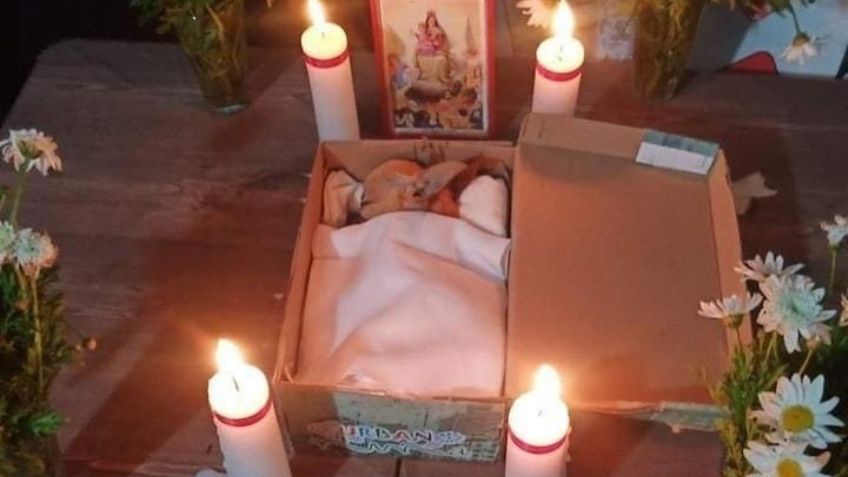 Familia da el último adiós a 'Ojitos', su perrito chihuahua; le organizan pequeño funeral