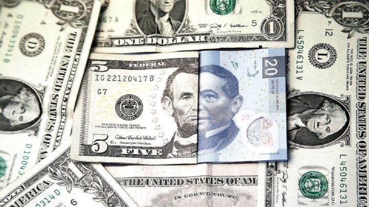Precio del dólar HOY martes 30 de julio 2024: ¿Cómo amaneció el peso mexicano?