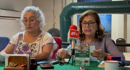 Quedan a deber diputadas de la 63 legislatura a mujeres de Sonora: Red Feminista 