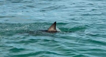 Difunden FUERTES IMÁGENES de un ataque hacia una mujer en playa de Texas