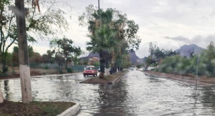 Lluvias exhiben precario sistema de drenaje en colonias de Guaymas; CEA atiende fugas 