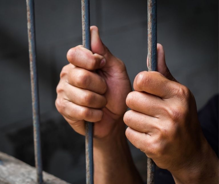 Vinculan a proceso a dueña de un husky por maltrato animal