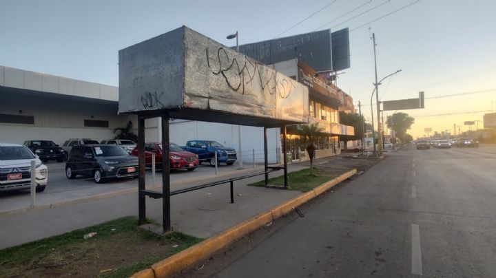 Jalo por Obregón avanza en el proyecto de recuperación de parabuses