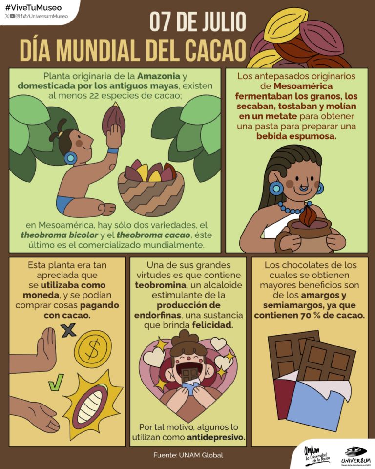 Día Mundial del Cacao