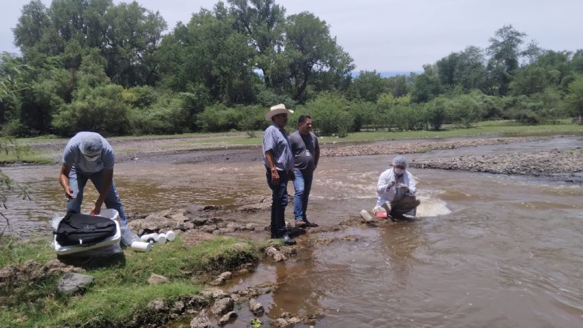 Protección Civil atañe muerte de peces del Río Yaqui a choque térmico; indagatorias siguen
