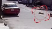 Foto ilustrativa de la nota titulada Fiscalía del Estado de México investiga a policía que atropelló a perrito en Chalco