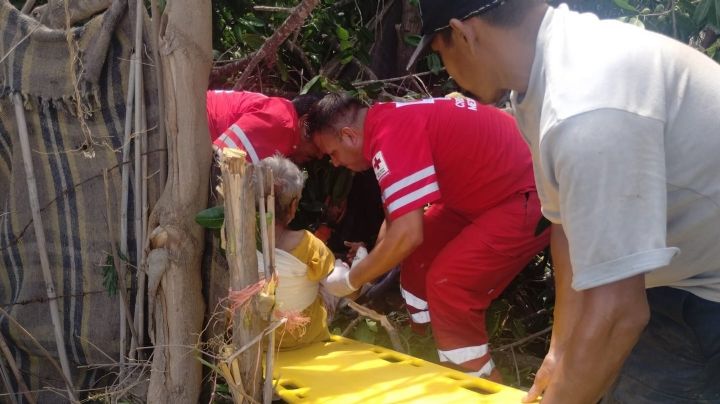 Árbol cae sobre una casa y lesiona a una abuelita en Etchojoa