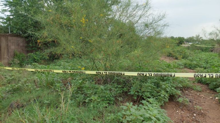 Cuerpo putrefacto en Culiacán