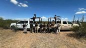 Foto ilustrativa de la nota titulada Guardia Nacional da duro golpe al crimen organizado en Sonora: Captura a 6 sicarios