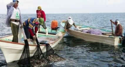 Pescadores de Guaymas y Empalme buscan salir en regla en la próxima temporada camaronera