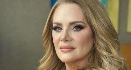 Erika Buenfil sufre tremendo accidente al intentar auxiliar a su hijo; así lo contó