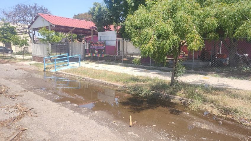 Ciudad Obregón: Padres de familia urgen limpieza y fumigaciones en las escuelas