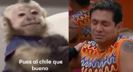 Ricardo Peralta se queda sin Instagram tras polémica en 'LCDLF México' y estallan los memes