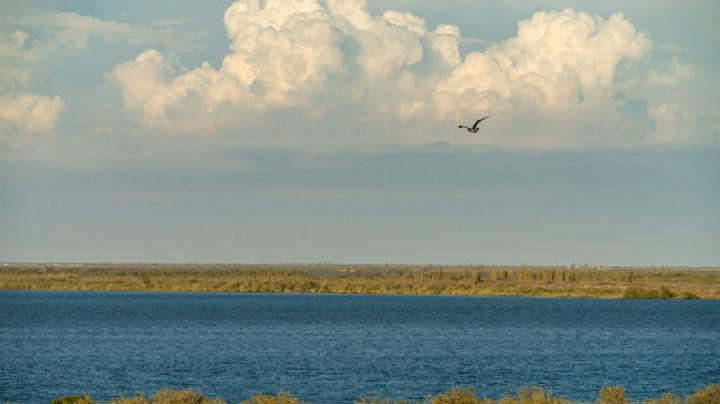 Tragedia en Bahía de Kino: Niño de 5 años fallece por asfixia en inmersión