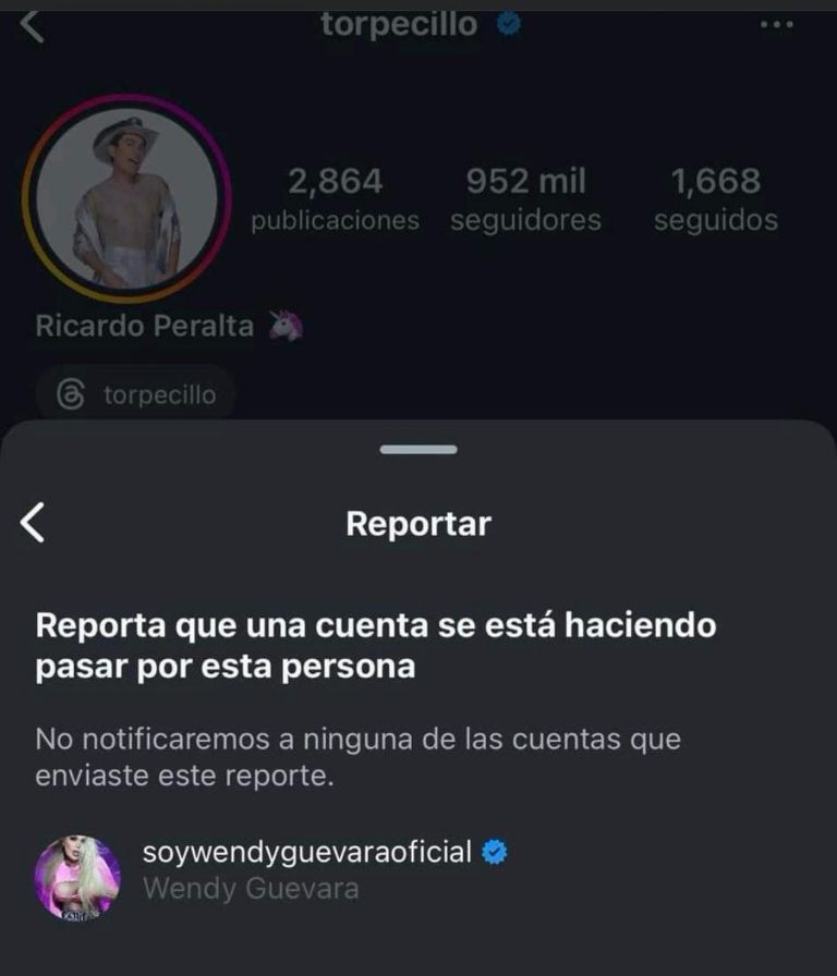 Reportaron la cuenta de Instagram de Ricardo Peralta