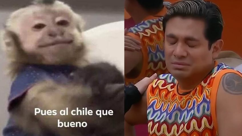 Ricardo Peralta se queda sin Instagram tras polémica en 'LCDLF México' y estallan los memes