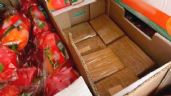Foto ilustrativa de la nota titulada Descubren en Sonora 14 paquetes de fentanilo ocultos en cajas de chiles; hay un detenido