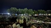 Foto ilustrativa de la nota titulada ¡Alerta! Fuertes vientos en Ciudad Obregón provocan la caída de más de 10 árboles