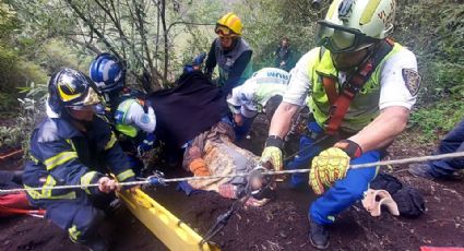 VIDEO: Así fue rescatado un joven que cayó dentro del volcán Xitle, en Ciudad de México