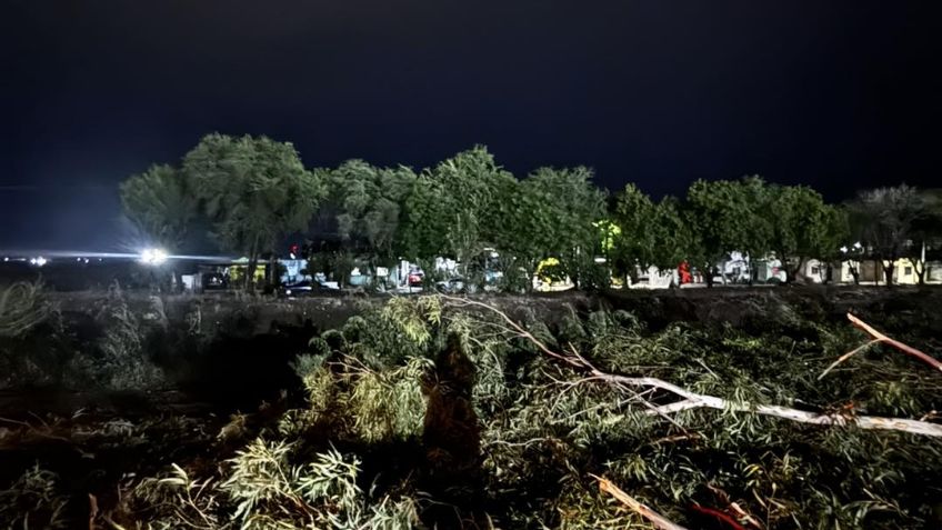 ¡Alerta! Fuertes vientos en Ciudad Obregón provocan la caída de más de 10 árboles