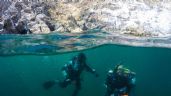 Foto ilustrativa de la nota titulada Buzos de todo el mundo visitan San Carlos para explorar los arrecifes artificiales
