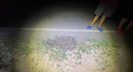 Alerta: Criminales lanzan decenas de 'ponchallantas' en concurrida carretera de Sonora