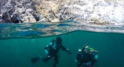 Buzos de todo el mundo visitan San Carlos para explorar los arrecifes artificiales