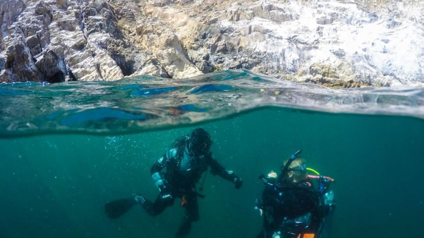 Buzos de todo el mundo visitan San Carlos para explorar los arrecifes artificiales