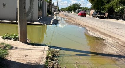 Vecinos de la colonia 16 de junio en Navojoa viven entre aguas negras