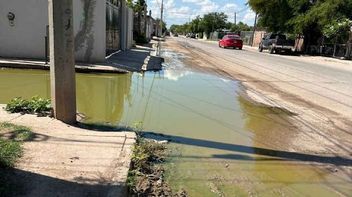 Vecinos de la colonia 16 de junio en Navojoa viven entre aguas negras
