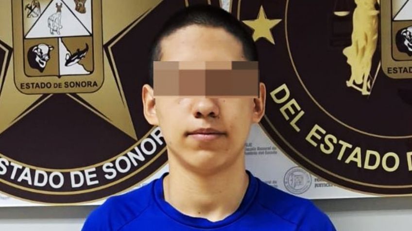 Colgó a dos perros de un árbol hasta causarles la muerte en Nogales; ya está vinculado