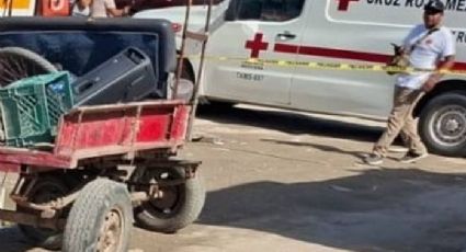 Hombre muere tras ser brutalmente golpeado por su caballo que cargaba fierro en Tamaulipas