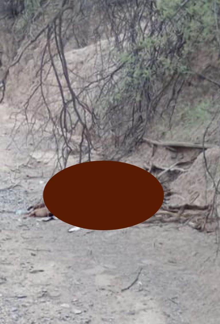 Hallan cuerpo sin vida en Caborca, Sonora. Foto: Facebook