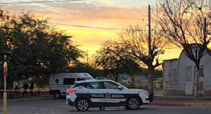 Sonora: En pleno día de regreso a clases, hallan cuerpo sin vida colgado en un árbol