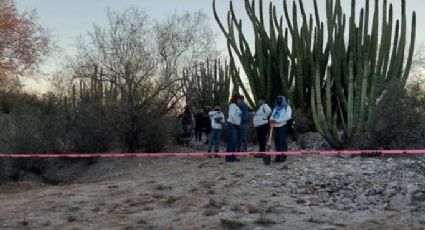 Madres Buscadoras de Sonora localizan a sujeto muerto en ejido al sur de Hermosillo