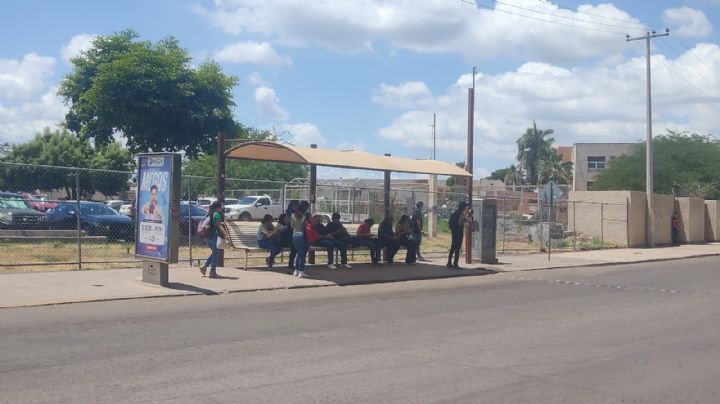 Regreso a clases evidencia carencias en el transporte público de Cajeme