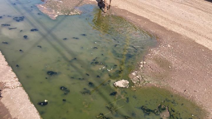 Ciudad Obregón: Vecinos de Valle Dorado continúan padeciendo focos de infección