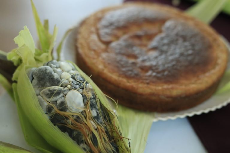 Feria del Elote y del Maíz