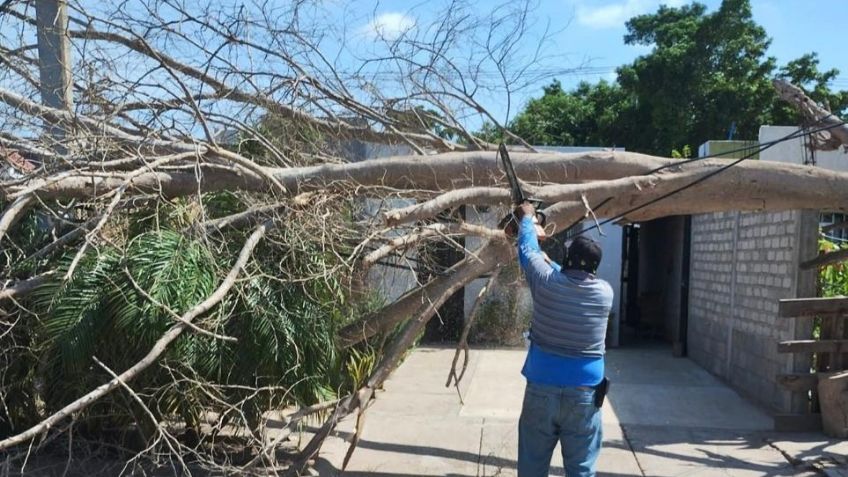 Clima en Culiacán hoy 05 de agosto: Altas temperaturas y probabilidad de fuertes lluvias