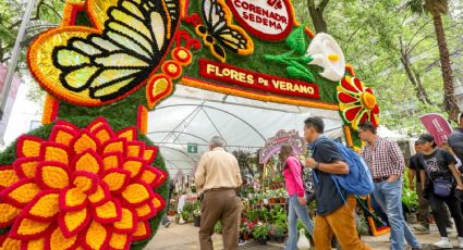 Festival de Flores de Verano 2024 en Paseo de la Reforma: Fechas, horarios y precios