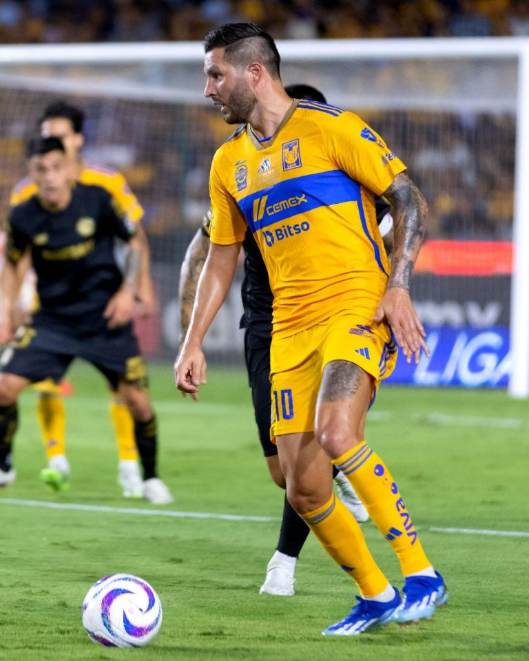 Tigres vs Pachuca EN VIVO