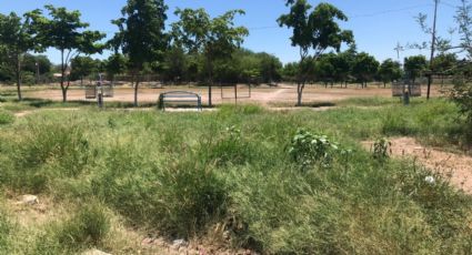 Parque ‘Los Hoyones’ se han convertido en un foco de infección en Navojoa